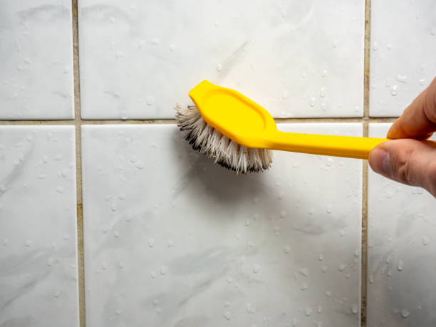 Best Emergency Mold Remediation in West Monroe, MI