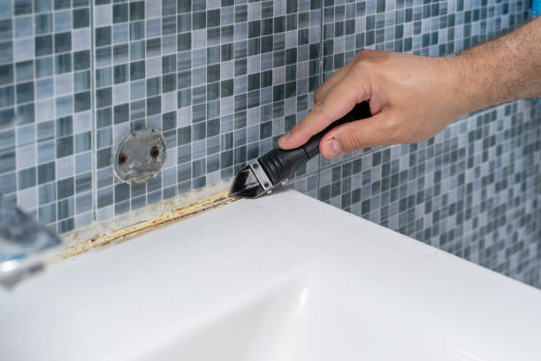 Best Black Mold Remediation in West Monroe, MI